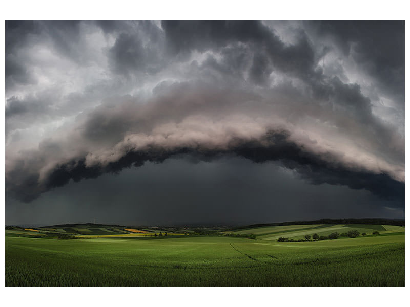 canvas-print-whales-mouth