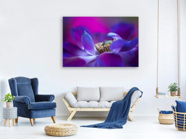 canvas-print-windflower-x