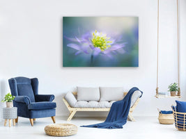 canvas-print-windflower-xyq