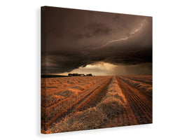 canvas-print-windy