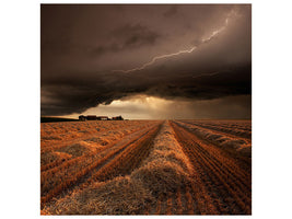 canvas-print-windy