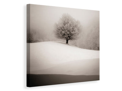 canvas-print-winter-degradee