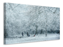 canvas-print-winter-dream