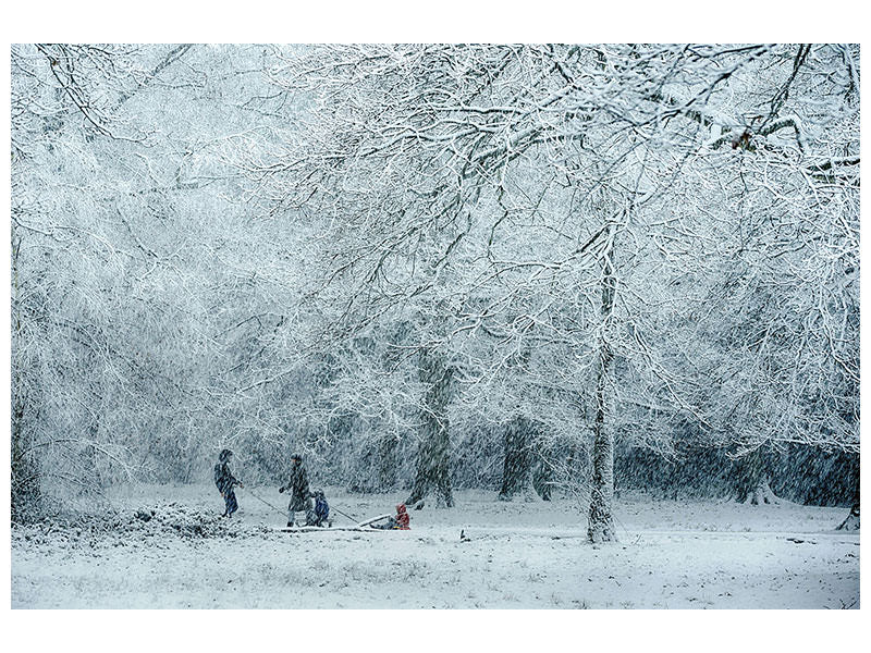 canvas-print-winter-dream