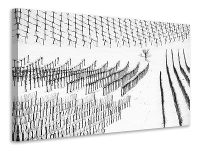 canvas-print-winter-lines