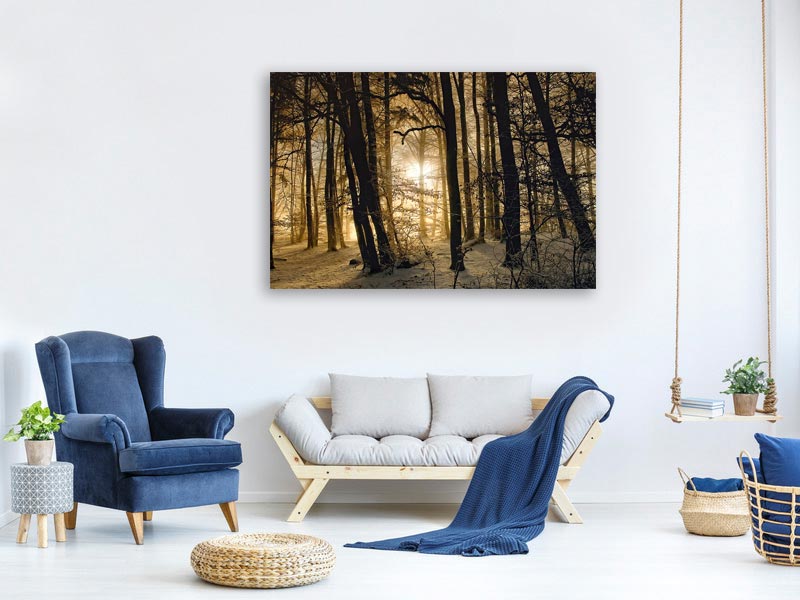 canvas-print-winter-morning-x