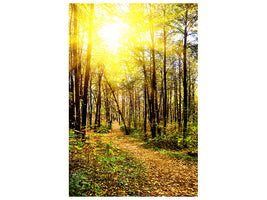 canvas-print-woodland-walk-in-the-autumn-sun