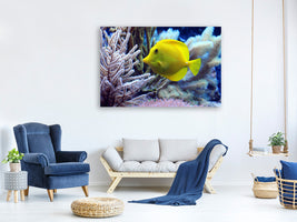 canvas-print-yellow-doctor-fish-xl