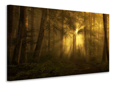 canvas-print-yellow-the-bigger-picture