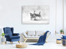 canvas-print-zebras