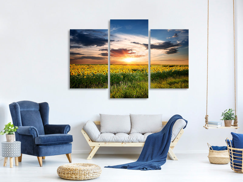 modern-3-piece-canvas-print-a-field-of-sunflowers