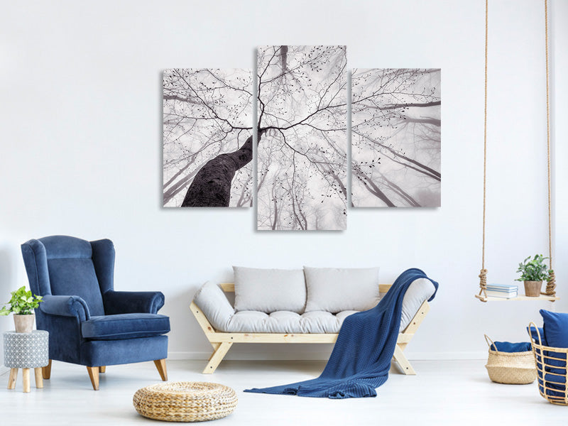 modern-3-piece-canvas-print-a-view-of-the-tree-crown