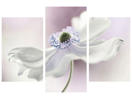 modern-3-piece-canvas-print-anemone-breeze