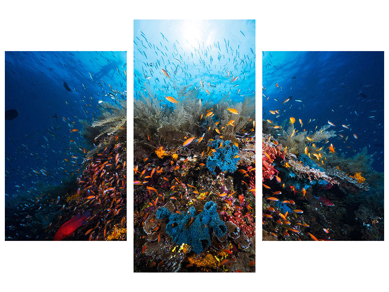 modern-3-piece-canvas-print-apnea