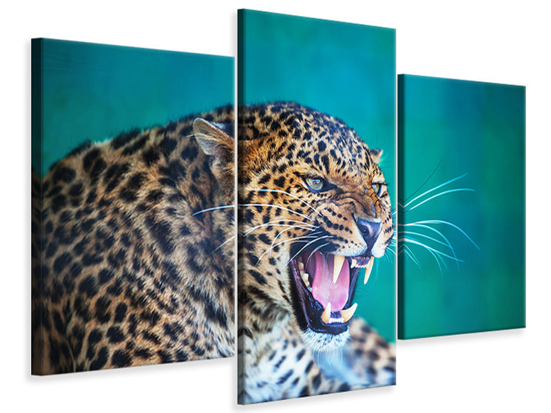 modern-3-piece-canvas-print-attention-leopard