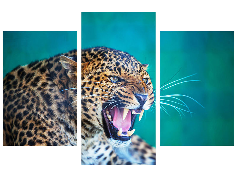 modern-3-piece-canvas-print-attention-leopard