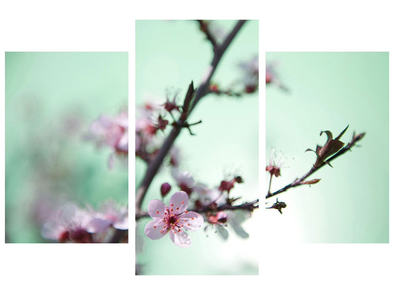 modern-3-piece-canvas-print-beautiful-japanese-cherry-blossom