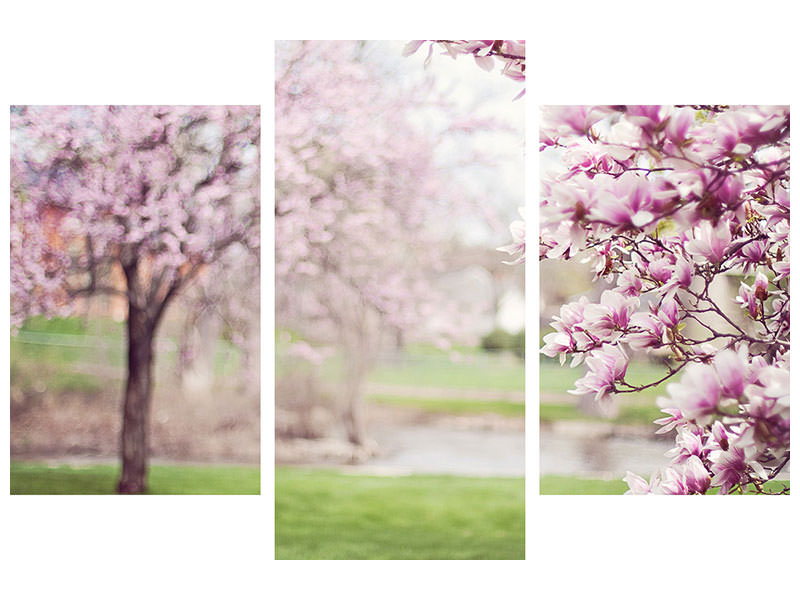 modern-3-piece-canvas-print-beautiful-magnolias