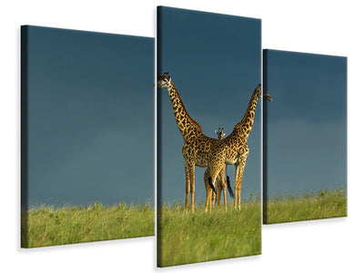 modern-3-piece-canvas-print-between-the-two