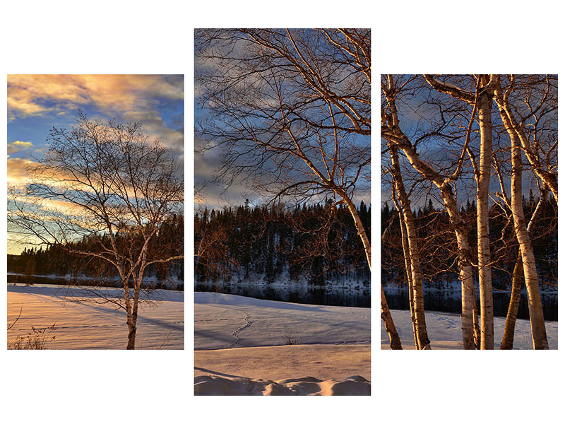 modern-3-piece-canvas-print-birches-in-the-winter