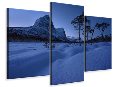 modern-3-piece-canvas-print-blue-iii