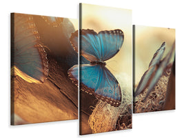 modern-3-piece-canvas-print-butterflies