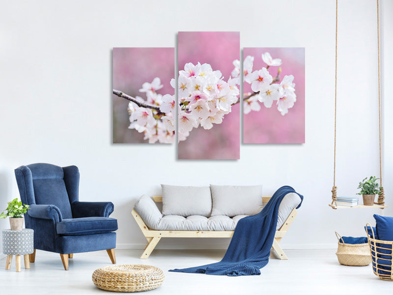 modern-3-piece-canvas-print-cherry-blossoms-xxl