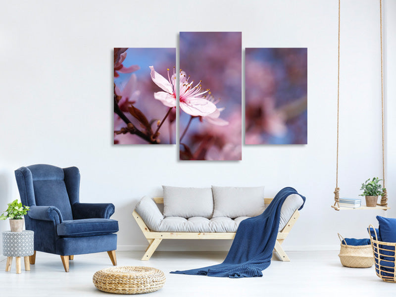 modern-3-piece-canvas-print-close-up-cherry-blossom