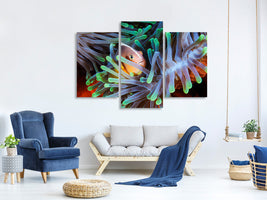 modern-3-piece-canvas-print-clownfish