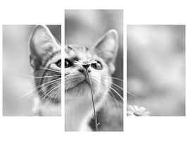 modern-3-piece-canvas-print-curious