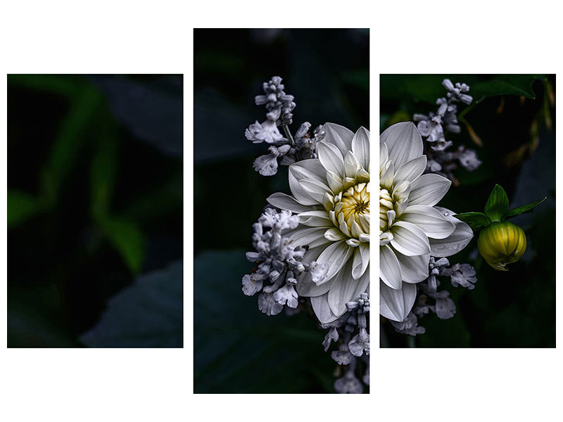 modern-3-piece-canvas-print-dahlia-flower