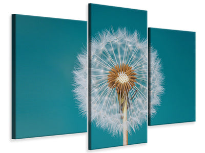 modern-3-piece-canvas-print-dandelion-a