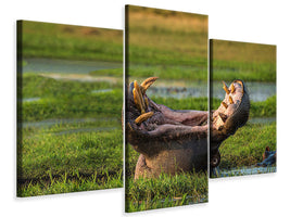 modern-3-piece-canvas-print-dare-to-yawn