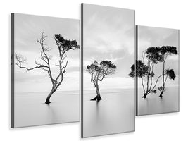 modern-3-piece-canvas-print-drowning-not-waving