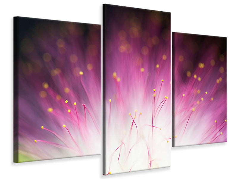 modern-3-piece-canvas-print-elfin