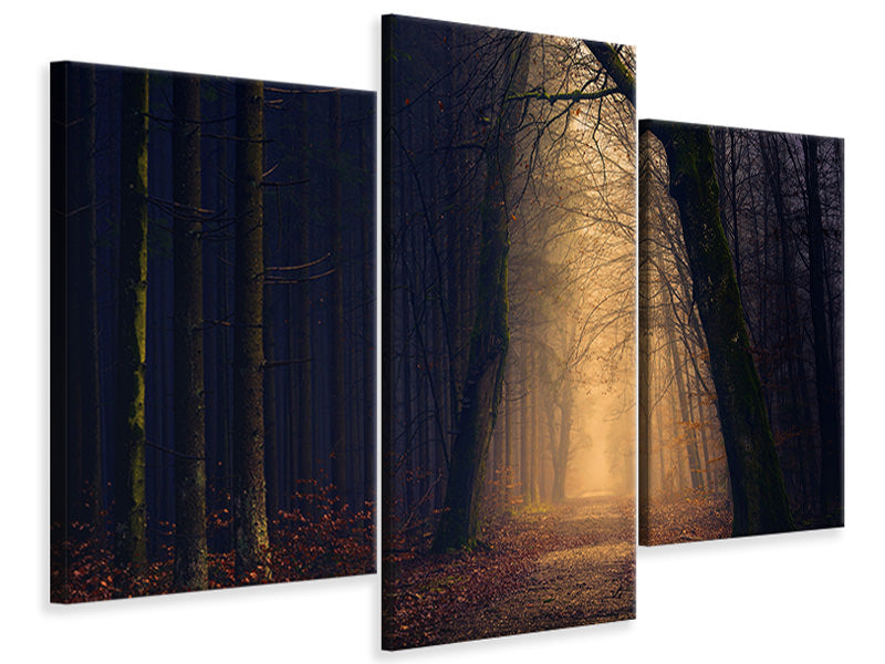 modern-3-piece-canvas-print-evening-mood-in-the-forest