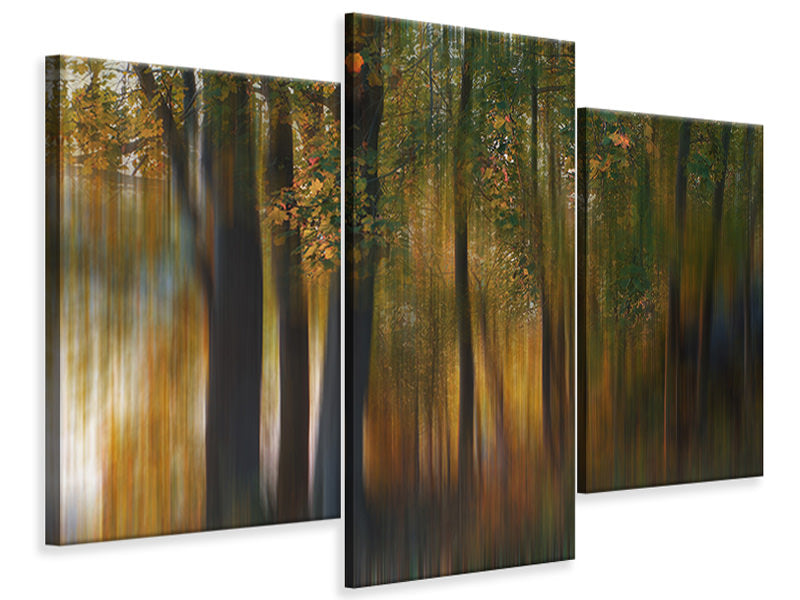 modern-3-piece-canvas-print-fall-impression-i