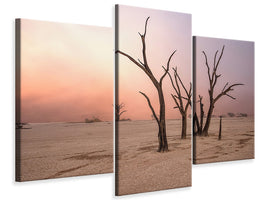 modern-3-piece-canvas-print-fog-in-deadvlei