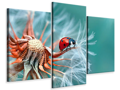 modern-3-piece-canvas-print-freedoom