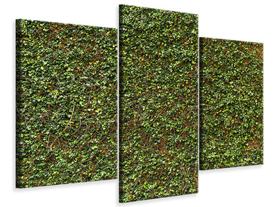 modern-3-piece-canvas-print-green-ivy-leaves-wall