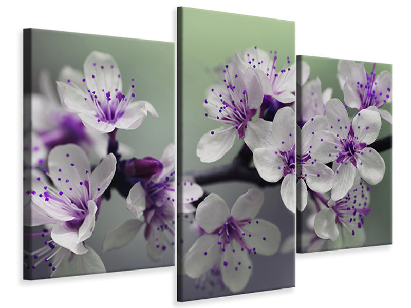 modern-3-piece-canvas-print-heyday