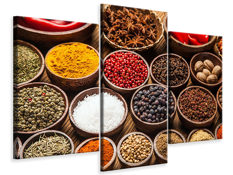 modern-3-piece-canvas-print-hot-spices