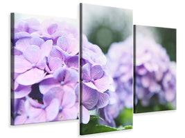 modern-3-piece-canvas-print-hydrangeas