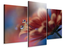 modern-3-piece-canvas-print-inmost