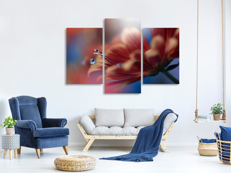 modern-3-piece-canvas-print-inmost