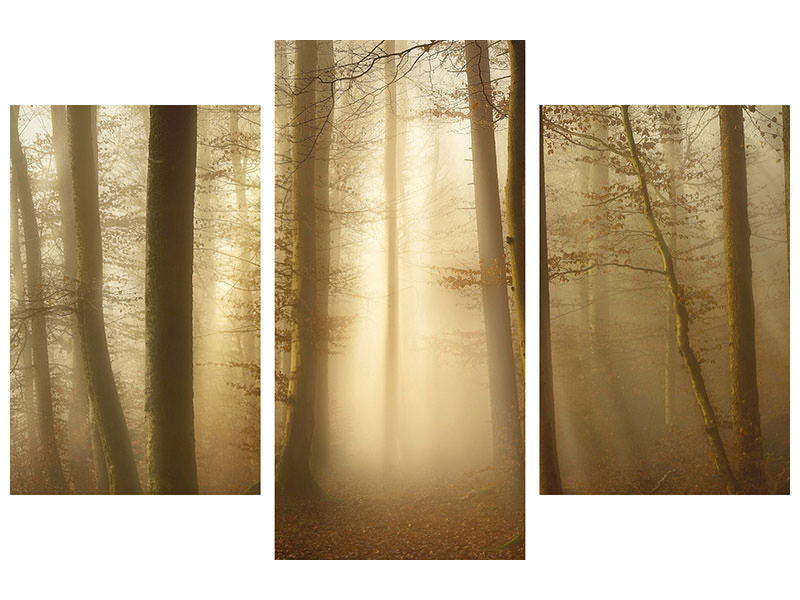 modern-3-piece-canvas-print-into-the-trees