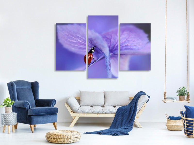 modern-3-piece-canvas-print-ladybird-on-purple-hydrangea