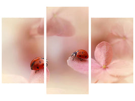 modern-3-piece-canvas-print-ladybirds-on-pink-hydrangea