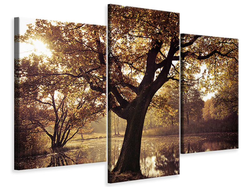 modern-3-piece-canvas-print-landscape-park