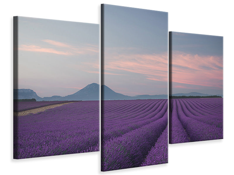 modern-3-piece-canvas-print-lavender-field